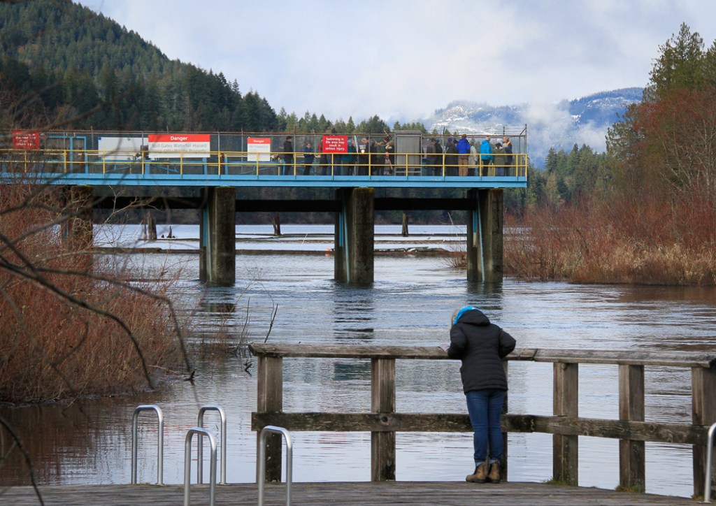 BHetschko WierTour-9692